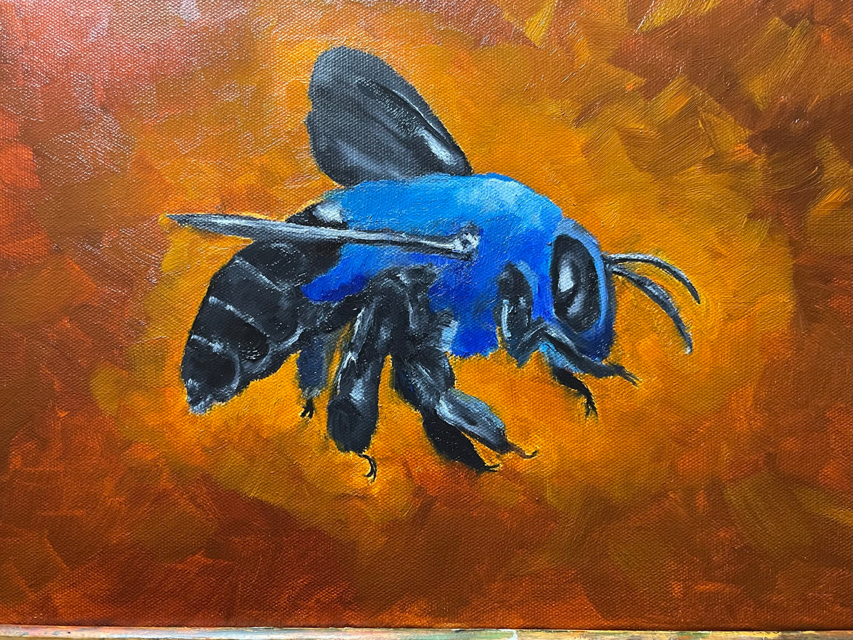 Blue Carpenter
